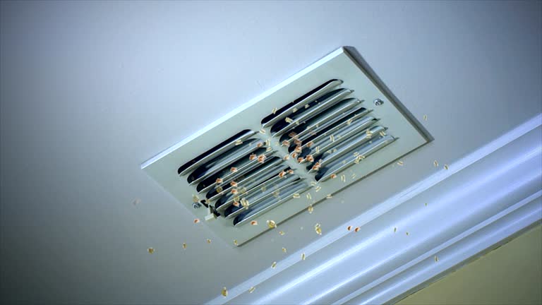 Reliable North Edwards, CA Airduct Cleaning Solutions