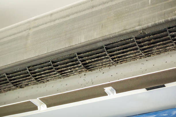 Best Emergency Air Duct Cleaning  in North Edwards, CA